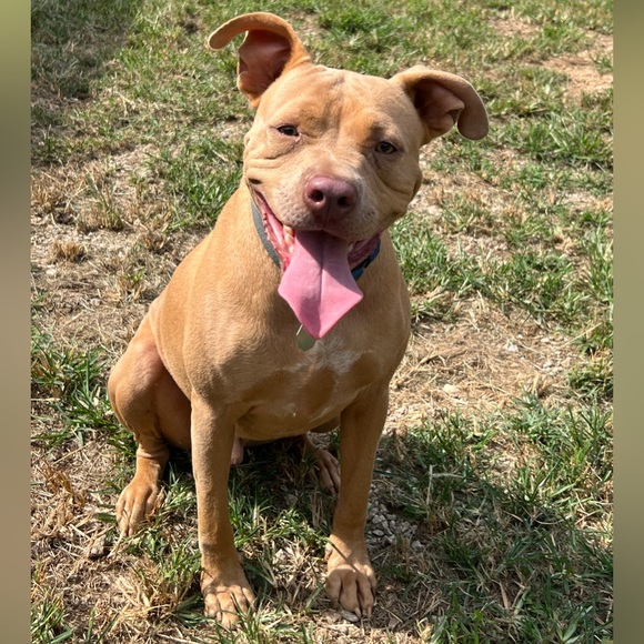 🙋🏻‍♀️Hi, I’m Katie!💕 - Picture 11 of 11